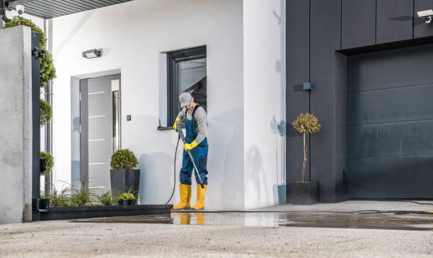 Pre-Holiday Cleaning in Venice Gardens, FL